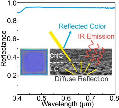 Publications | Bio-inspired Photonics